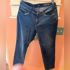 J.Jill denim jeans authentic fit/Slim ankle size 8p-